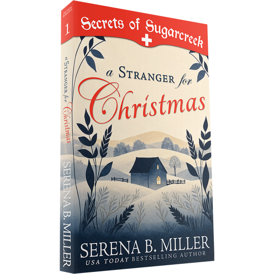A Stranger for Christmas (Book 1)