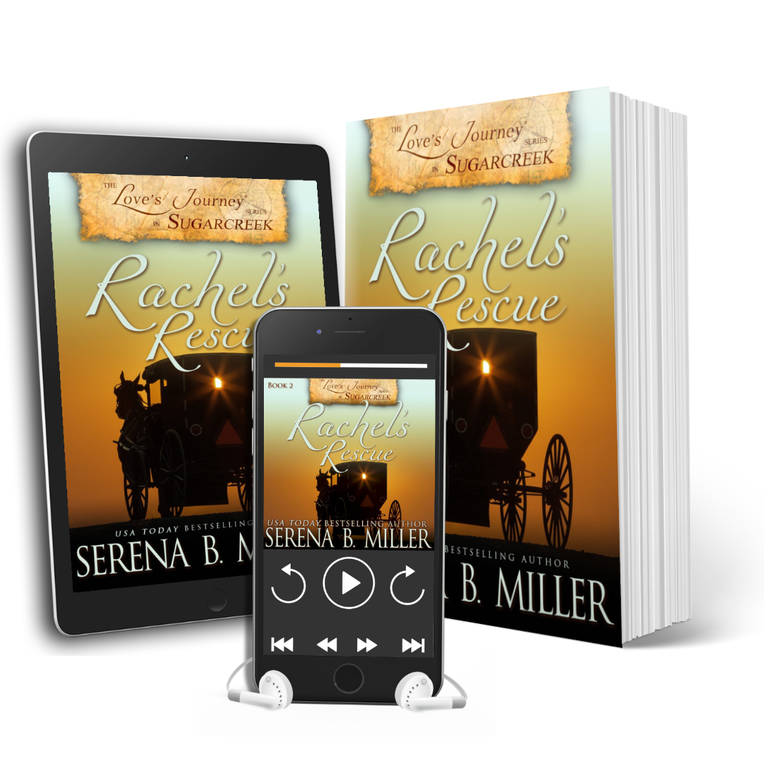 Rachel's Rescue (Book 2)