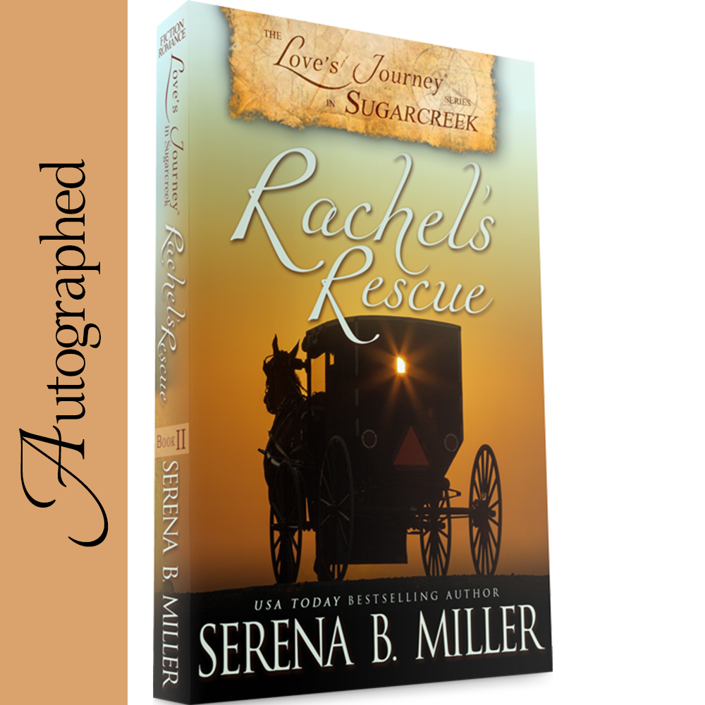 Rachel's Rescue (Book 2)