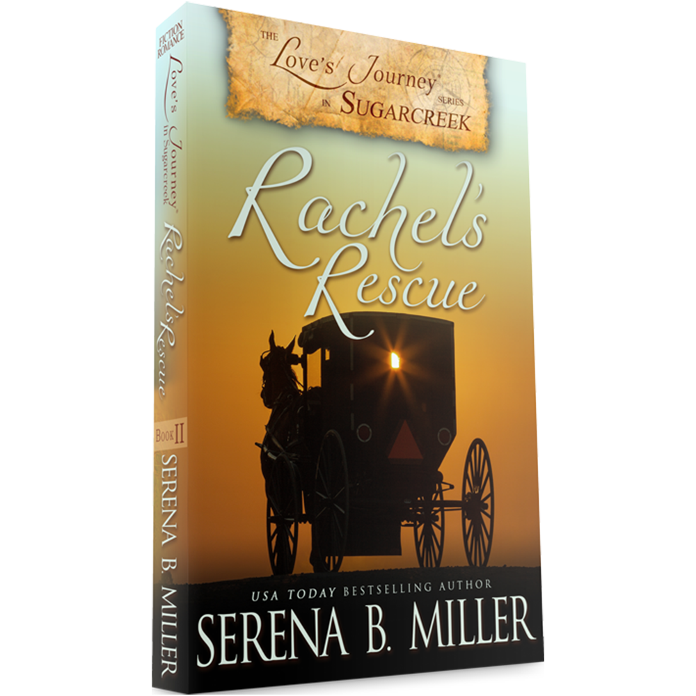 Rachel's Rescue (Book 2)