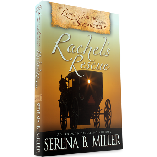 Rachel's Rescue (Book 2)