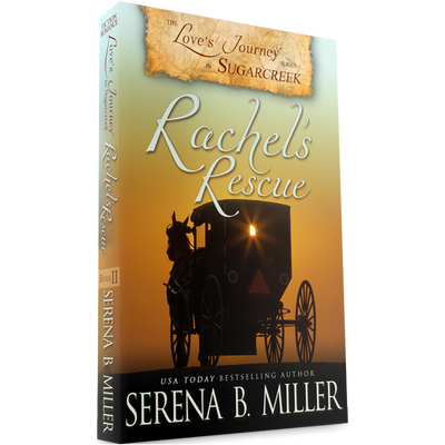 Rachel's Rescue (Book 2)