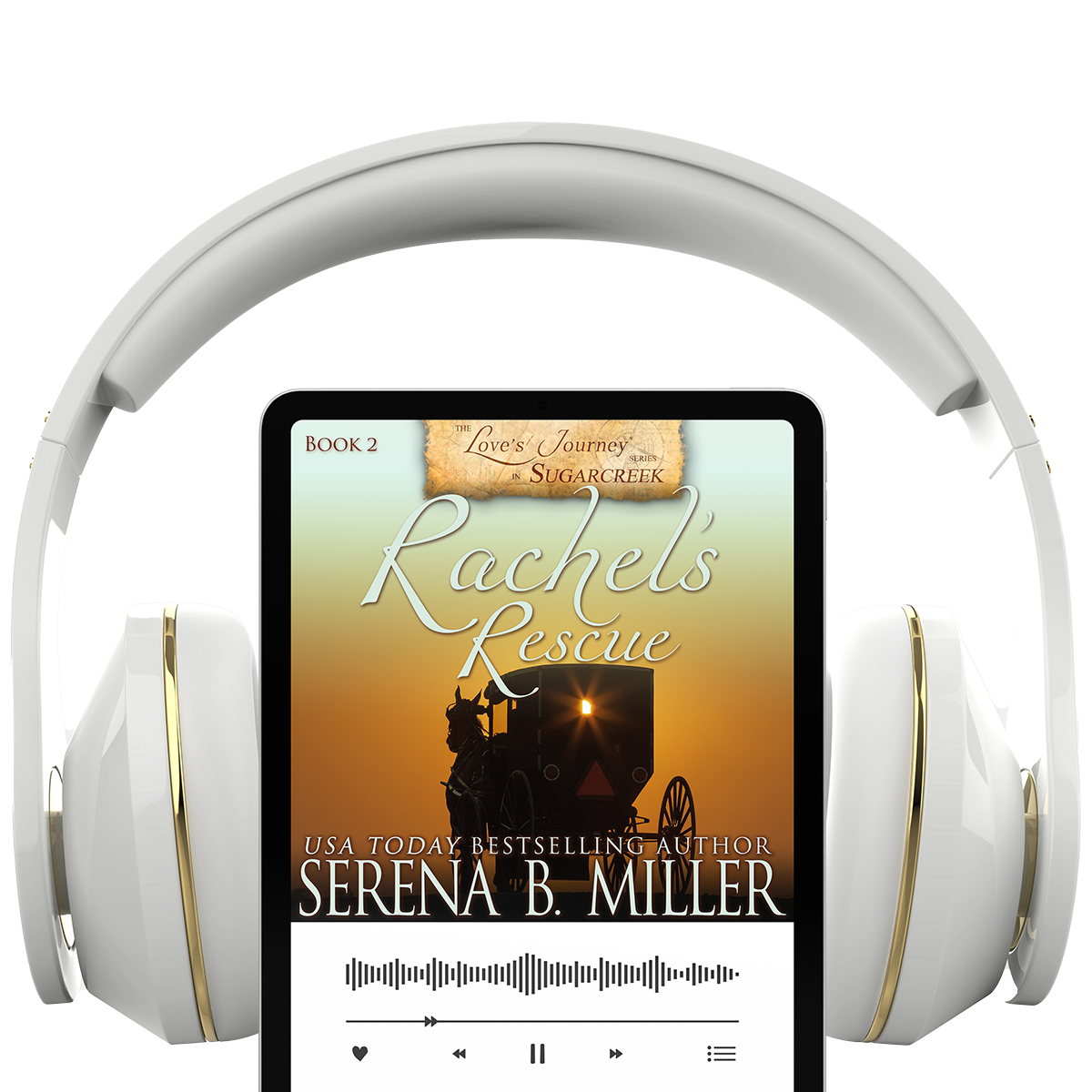 Rachel's Rescue (Book 2)