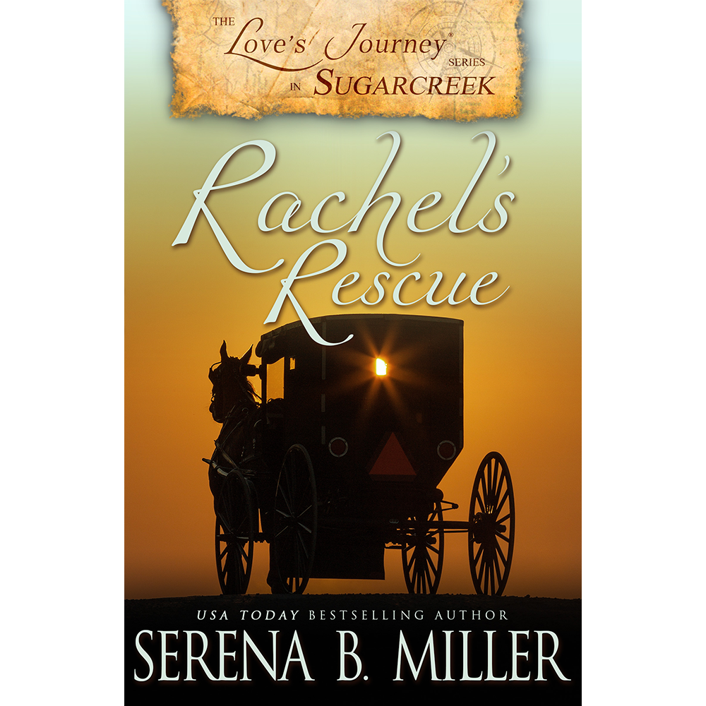 Rachel's Rescue (Book 2)