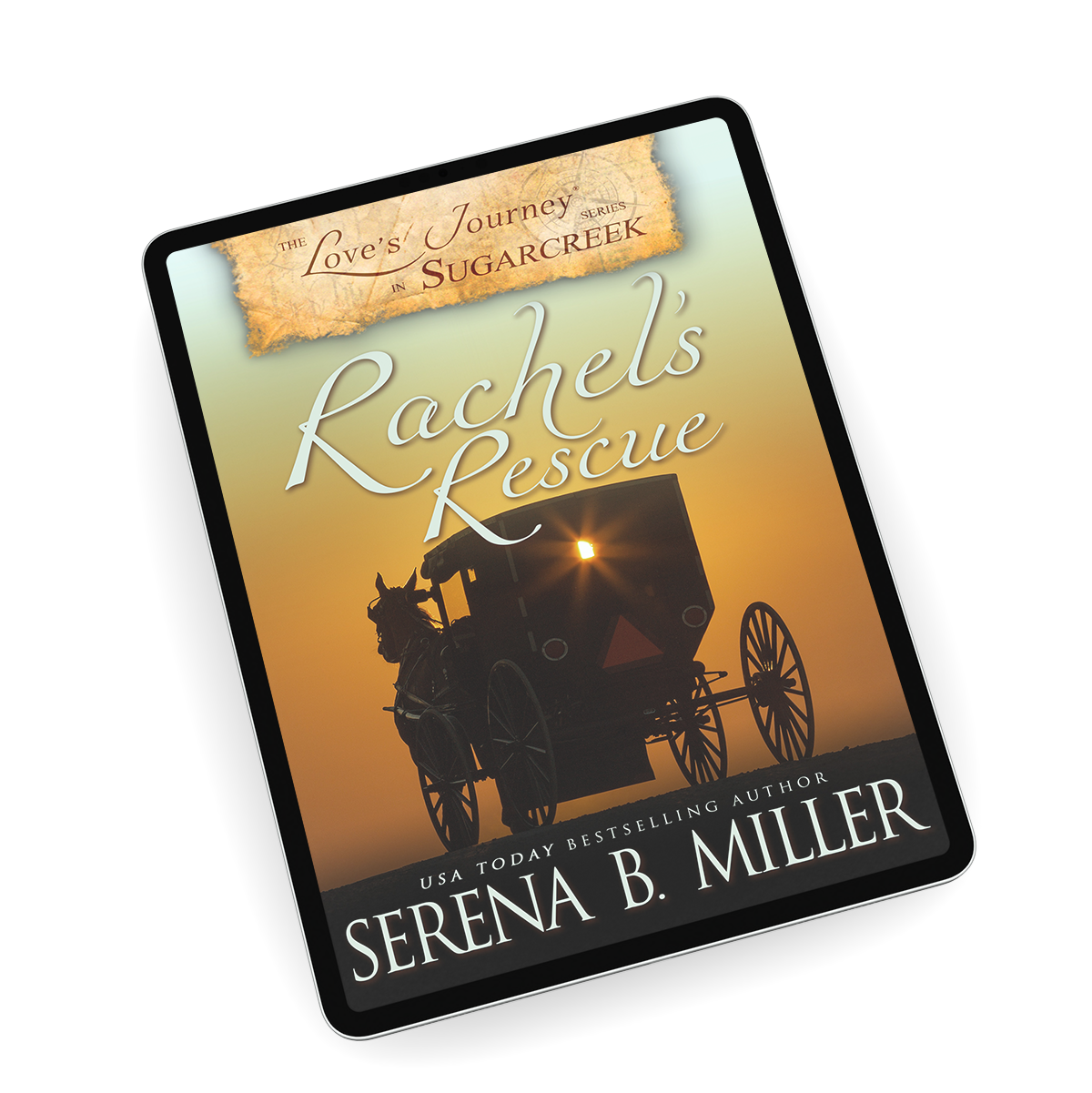 Rachel's Rescue (Book 2)