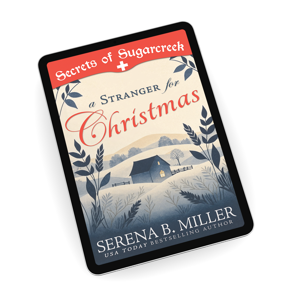 A Stranger for Christmas (Book 1)