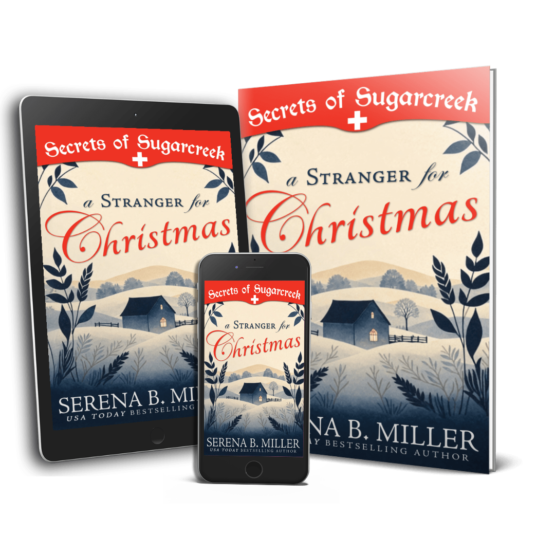 A Stranger for Christmas (Book 1)