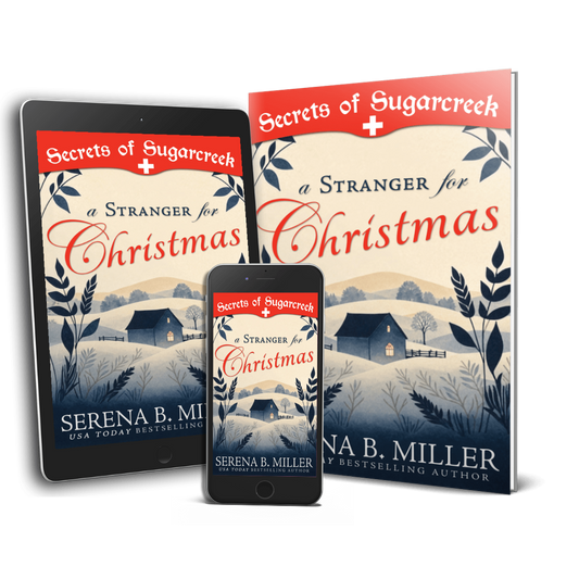 A Stranger for Christmas (Book 1)